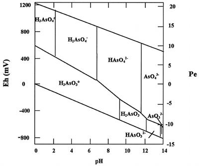 Adsorption methods for arsenic removal in water bodies: a critical evaluation of effectiveness and limitations